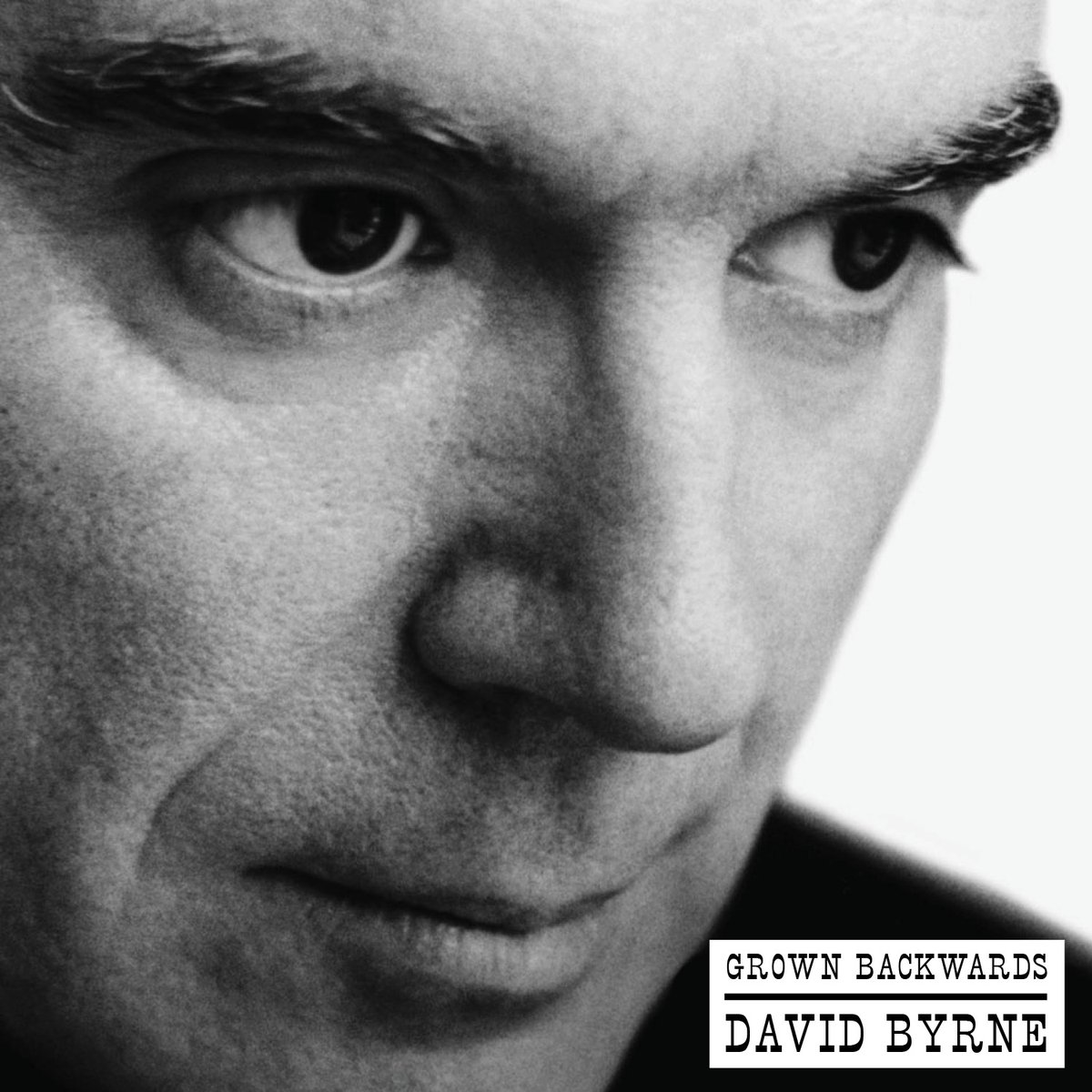 #NowPlaying_BVGH 
『Grown Backwards』(2004)
David Byrne
44.1kHz/16bit
#ArtPop #ChamberPop #OrchestralPop #BaroquePop #Opera