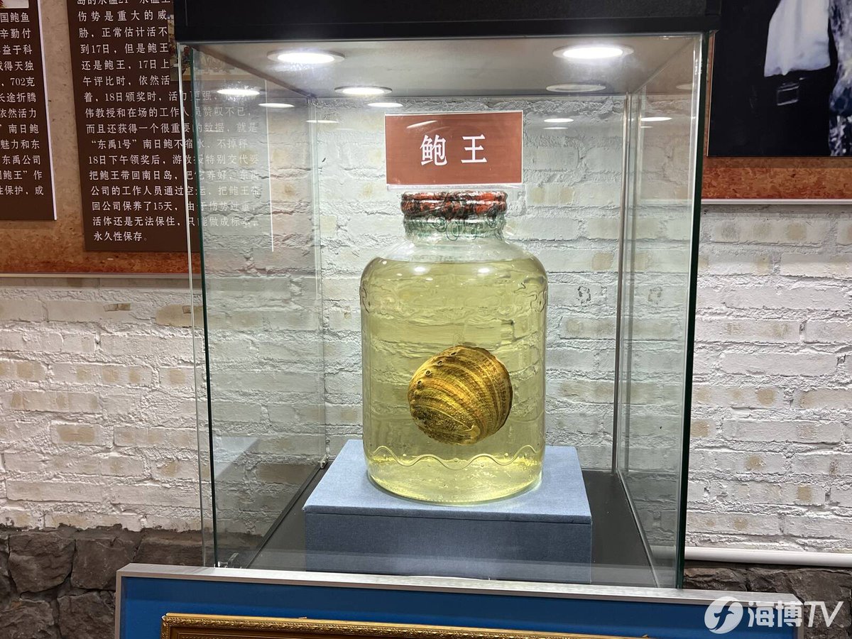 HolaFujian's tweet image. The #Abalone Museum on Nanri Island in Putian, Fujian, is the first abalone-themed museum in China. The #museum showcases a variety of exhibits, including a super large abalone specimen weighing 702 grams. This specimen was awarded the title of "#Chinese Abalone King" in 2019.