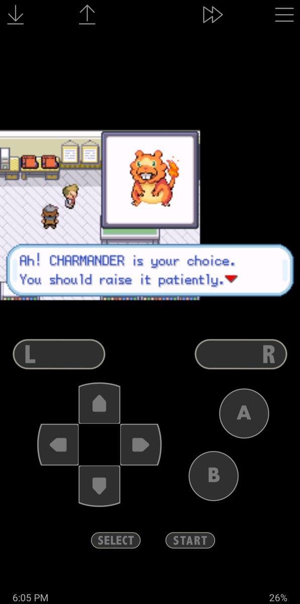 nickubolas's tweet photo. Pokemon Bidoof Version is a gift/curse to humanity. I can't stop cackling. https://t.co/to9YCD3qnf