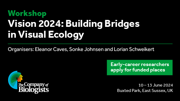 Funded places for early-career researchers at our Workshop 'Vision 2024: Building Bridges in Visual Ecology' organised by @EleanorCaves Sonke Johnsen @sonkelab & Lorian Schweikert @LoriSchweikert #BiologistsWorkshops Deadline for applications: 1 Dec biologists.com/workshops/june……