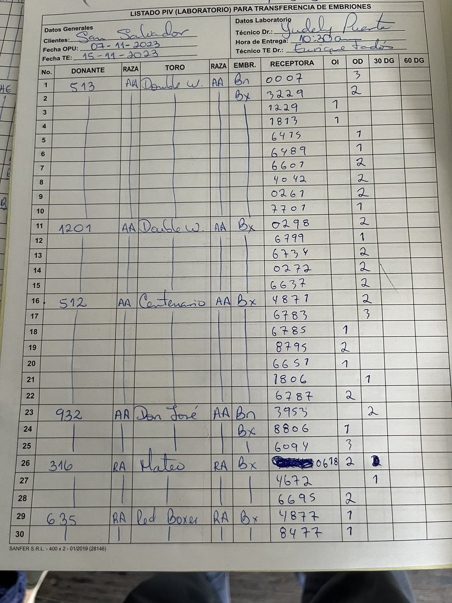 Un gran año este de apuesta genética ente San Salvador y Angus de Modelo , pasamos los 800 embriones puestos solo en 2023 y 100 % <a href="/InVitroUruguay/">In Vitro Uruguay - Argentina</a> y 100 % producción de Uy , con respaldo en los EPDs  !! Confiados en la genética  🇺🇾  Angus y Hereford