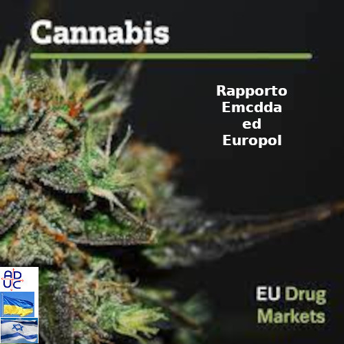 ADUC1's tweet photo. #Cannabis in Europa. Rapporto #Emcdda ed #Europol  
https://t.co/kvuJ0ZCWn6 https://t.co/EEjnTpoMFg
