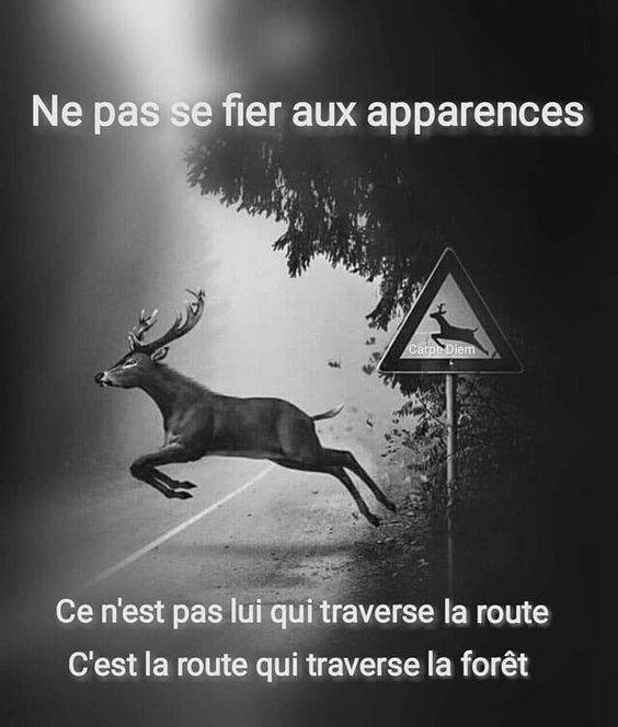 Rappel important

On l'oublie souvent 😔