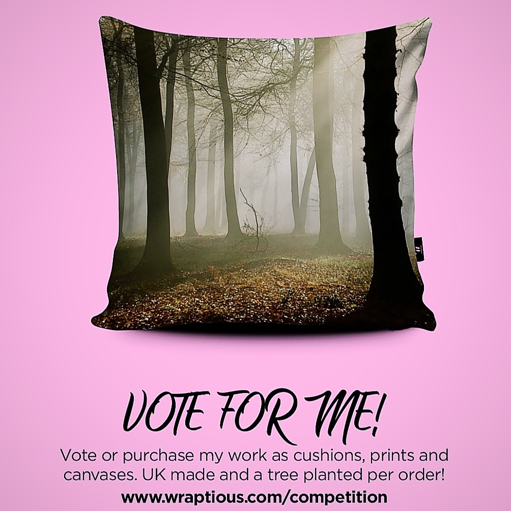 gabyzak_'s tweet photo. My entry to the @wraptious competition is now live. You can vote via the Wraptious Facebook page. Link to vote; https://t.co/ihf21fcEms
You can also get 20% off your purchase using code FRIDAYFEELING
#competition #wraptious #naturephotography #woodland #photography https://t.co/DMlAbhTjHj