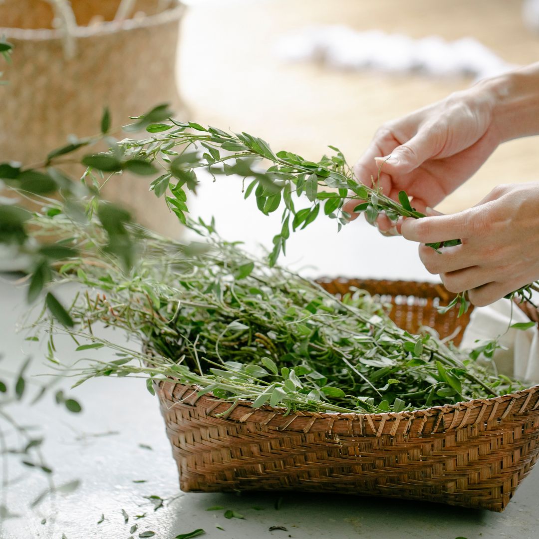 alittlebitfood's tweet photo. Our little mission is to fill our products with the best ingredients and fresh herbs. 

Herbs are packed with rich goodness!

Different herbs feature across the A Little Bit range - all our products ooze flavour and goodness perfect for quick, nutritious, dam tasty meals. https://t.co/UCkb6MkXjI