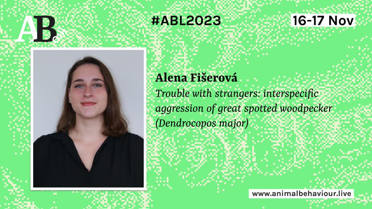 We are looking forward to our PhD student's <a href="/AlcaFiseru/">Alena Fišerová</a> talk on the ecology of woodpeckers in #Finland at 22:10 Day 2 / Session 3 (17th Nov) 🐦🌳🇫🇮🤗 <a href="/AnimalBehavLive/">Animal Behaviour Live</a>