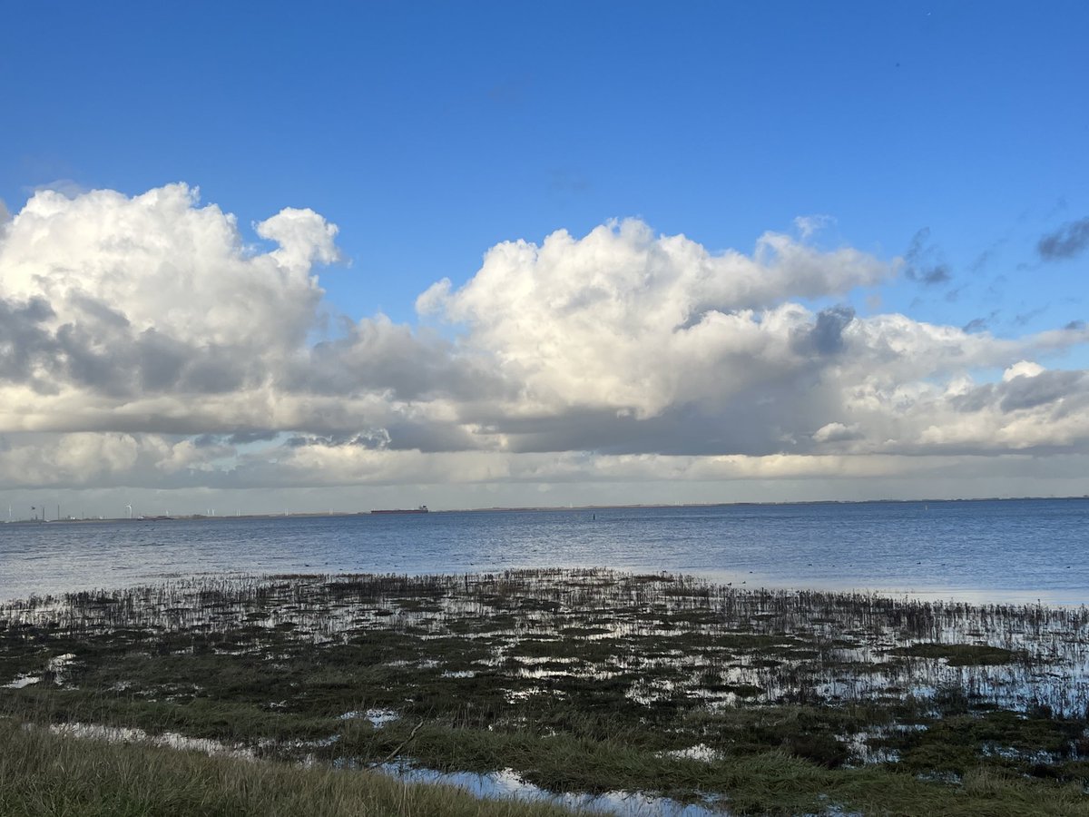 hon_joke's tweet photo. Gisterenmiddag bij de Westerschelde #Vloed #Schorren #Paulinahaven π€π©΅ https://t.co/lbb94UIvwv