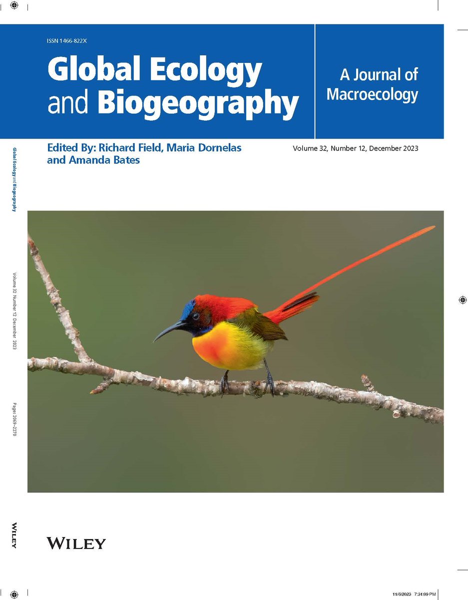 Sahas Barve ๐ฎ๐ณ๐บ๐ธ (@sahasbarve) on Twitter photo Sandeep Chakraborty's beautiful photo of this fire-tailed sunbird helped us get the cover of the Dec issue! Congrats to <a href="/tarun_menon/">Tarun Menon</a> and Vijay Ramesh for all their work on this fun collaboration!
onlinelibrary.wiley.com/doi/abs/10.111โฆ Sandeep Chakraborty's beautiful photo of this fire-tailed sunbird helped us get the cover of the Dec issue! Congrats to <a href="/tarun_menon/">Tarun Menon</a> and Vijay Ramesh for all their work on this fun collaboration!
onlinelibrary.wiley.com/doi/abs/10.111โฆ