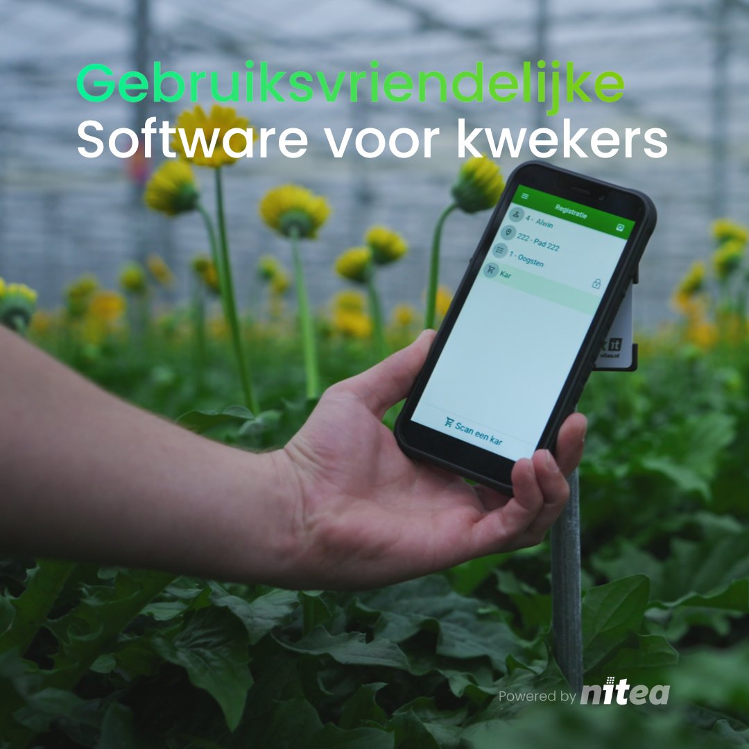 Nitea IT Solutions tweet media