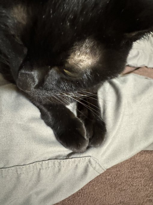 おてて可愛すぎだろ 