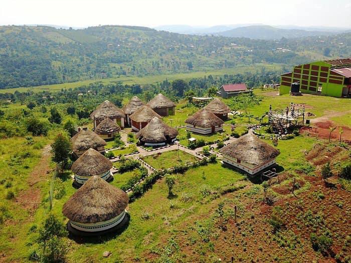 Jangu International tweet media