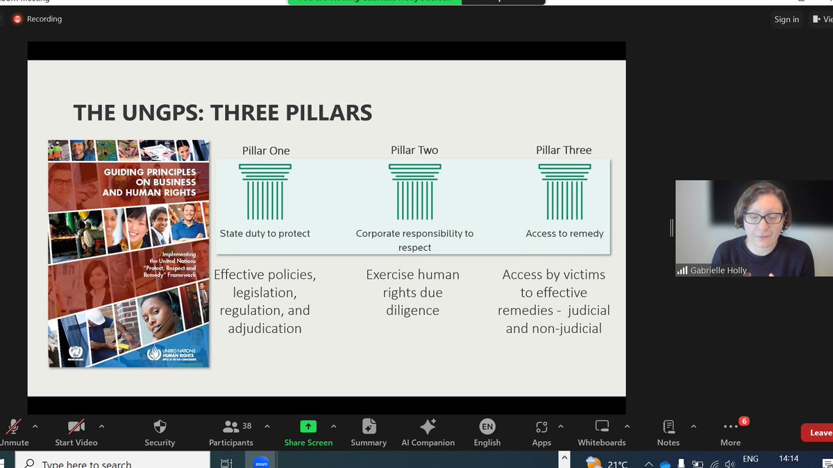 The 3 PILLARS: UNGPS
#BusinessandHumanRights #BHR