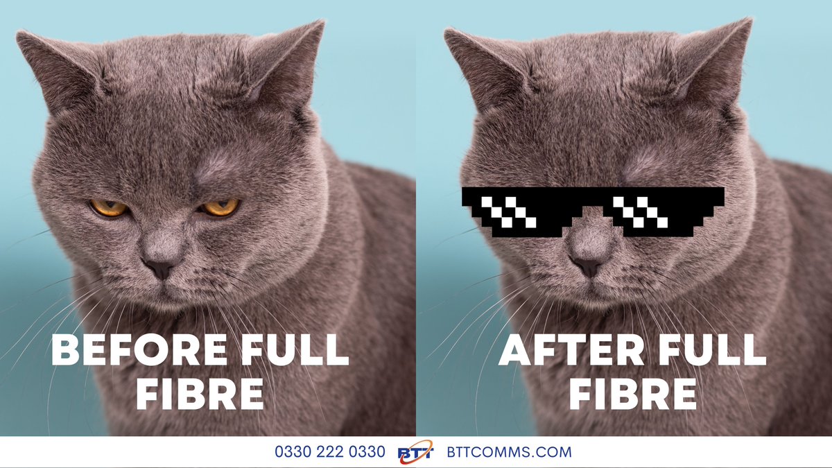 Ultra-fast broadband and crystal clear phone lines... there's nothing like full fibre!

See what else you have in store by making the switch:
bttcomms.com/10-facts-about… 

#fullfibre #isdnswitchoff #2025 #cat #meme #businesssolutions