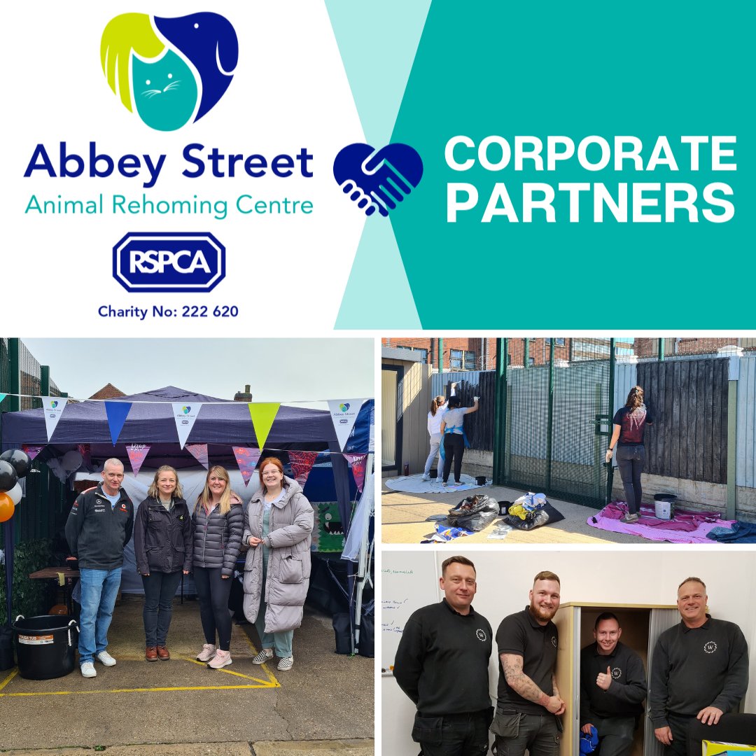 We are searching for compassionate companies in Derby who want to make a PAWsitive impact 🌟 by partnering with us next year.
For more info, DM us or email georgina.wild@rspcaderby.org.uk and together, we can make a real difference 🤝
#RSPCADerby #CorporateSupport #Derby