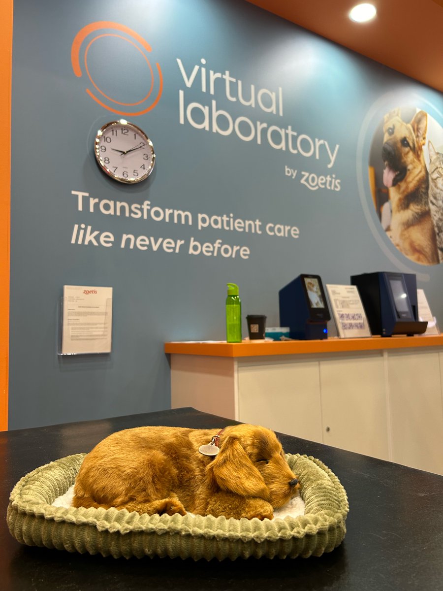 Ch4rtweets's tweet image. Great selection of diagnostic products at the @Zoetis stand at the London @VetShow! An interesting &apos;breathing&apos; furry friend too... 🐶#LondonVetShow #VirtualLaboratory #ZoetisUK