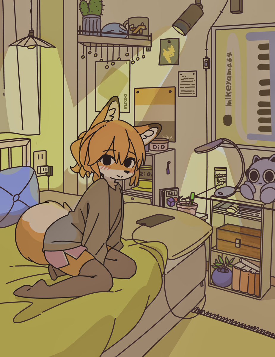 きつねちゃん宅