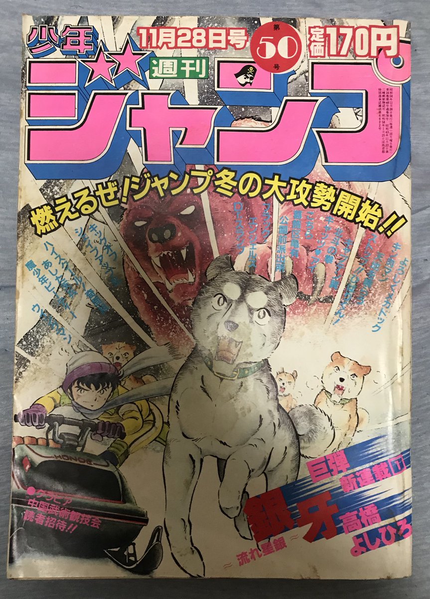 WhiteAudley's tweet photo. 週刊少年ジャンプ1983年50号
(1983.11.15日火曜日発売)

昨日で銀牙生誕40周年だったんですな
ヨンさんは当時小6
白い戦士ヤマトが大好きだったので銀牙もすんなり受け入れられました

動物漫画の第一人者を目指すと宣言した高橋よしひろ先生
有言実行にも程があるぜ！
40周年おめでとうございます😁 https://t.co/D0ySVaxFhI