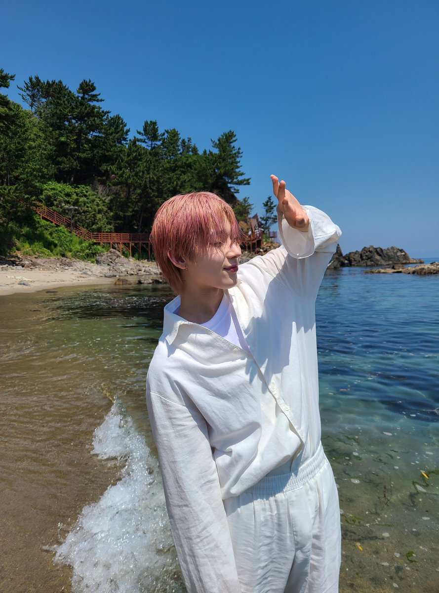폭스 tweet media
