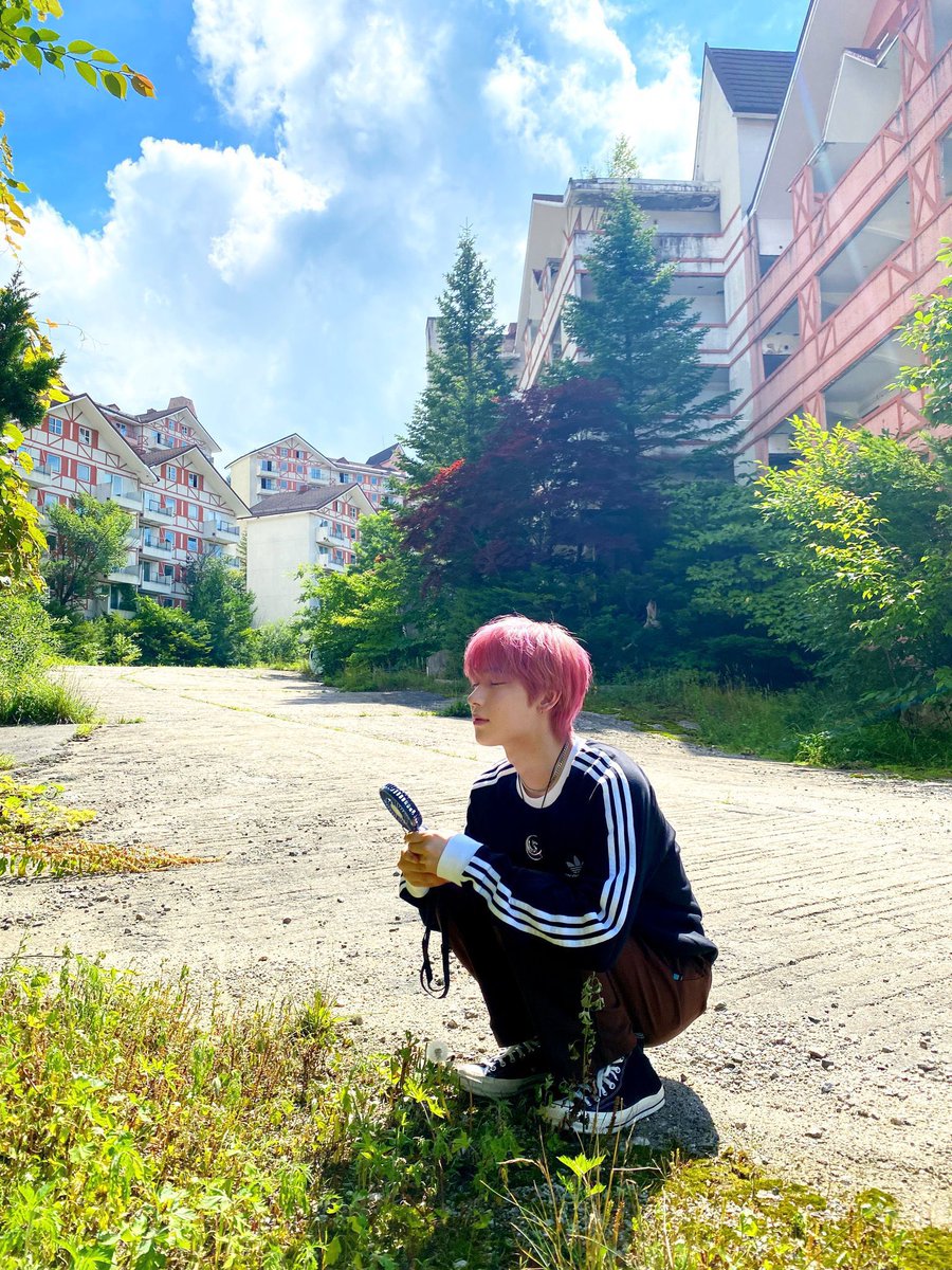 폭스 tweet media