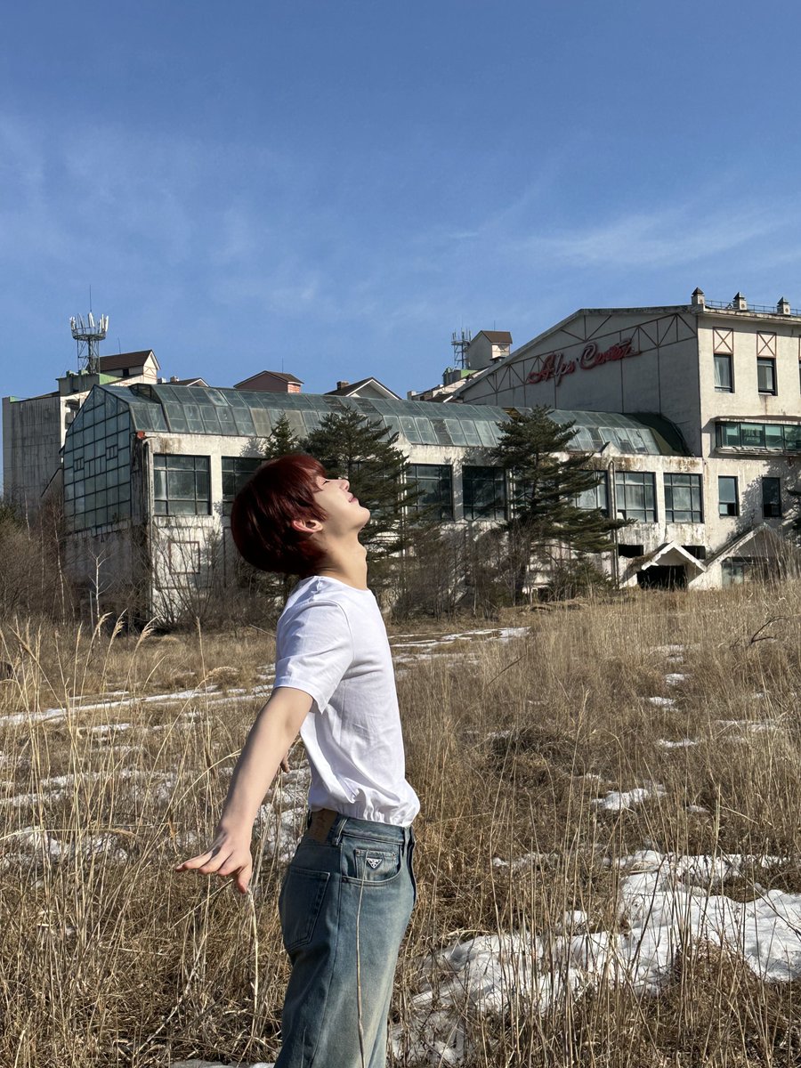 폭스 tweet media