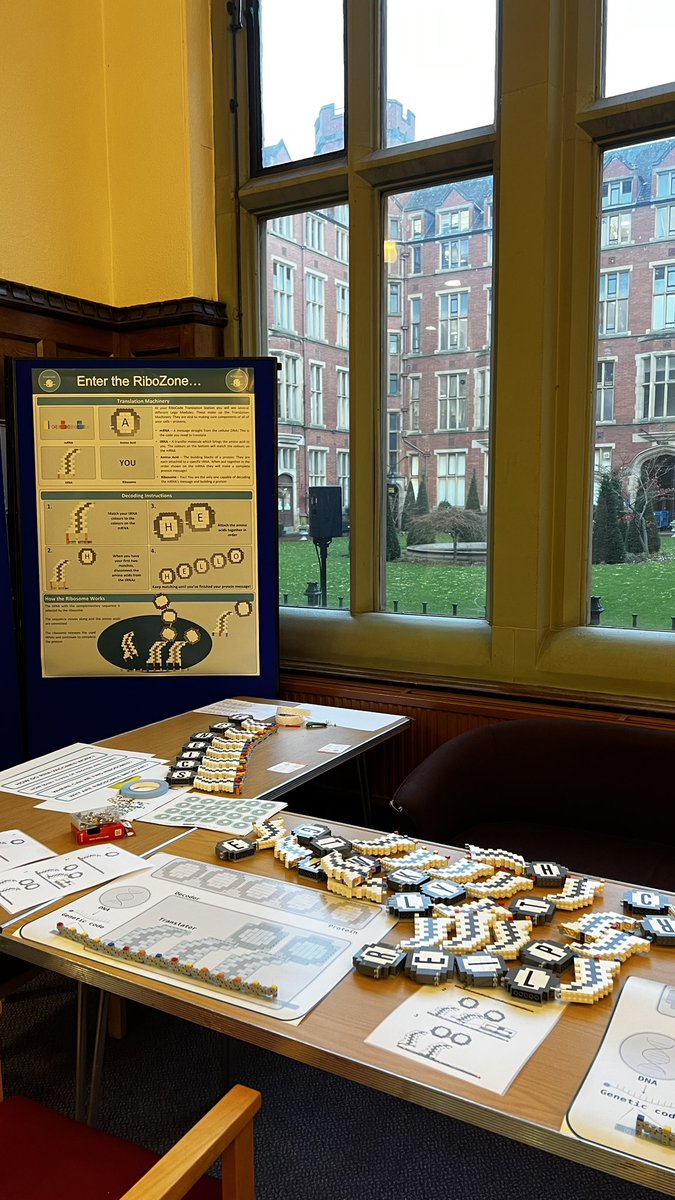 Had so much fun last night at #BioFest 👩🏻‍🔬 teaching kids about how the ribosome makes proteins through the magic of Lego! If our activity piqued your interest, more information about our research can be found at ribocode.org <a href="/RiboCode/">RiboCode</a> 🧬