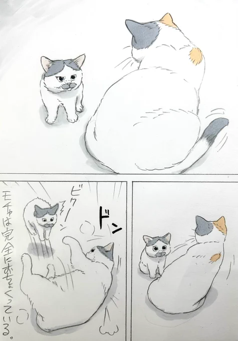 まいにちノリ吉