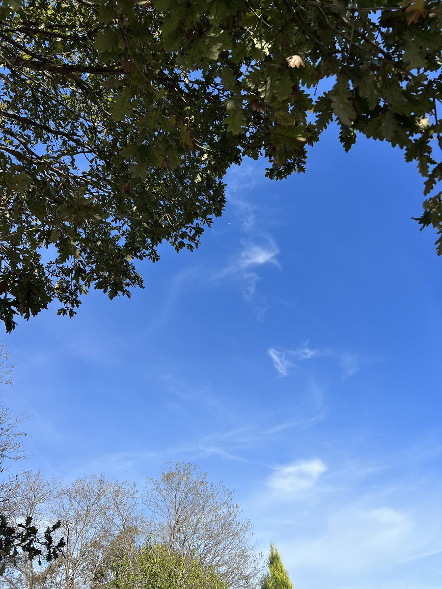 Selahattin Erdem (@s_erdem73) on Twitter photo 