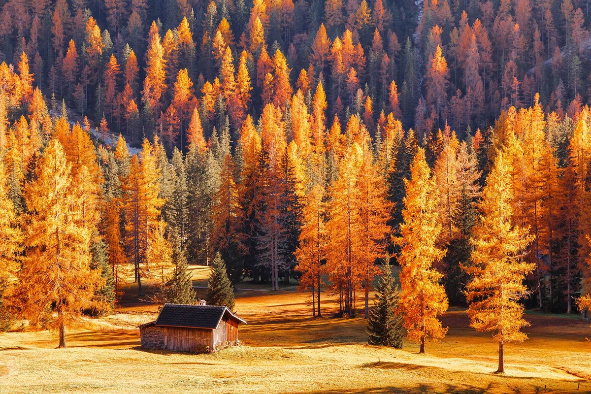 SoftwebHQ's tweet image. Let's make coding and collaboration even easier! 💡 

buff.ly/47cppNg 

#GitHubActions #CodingTips #DatabaseSkills #TechSimplified #techindustry #softweb