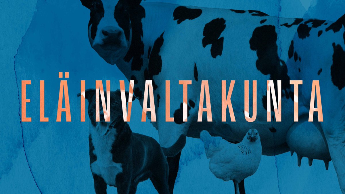 Uusi podcast-sarja yhteistyössä @Ehkeskus kanssa alkaa! Podissa pohditaan ihmisen valtaa ja vastuuta suhteessa muihin eläimiin. Teemoina mm #jalostus, #lemmikit, #maatalouspolitiikka, #kalat ja koulutus. Ensimmäiseen jaksoon pääset blogista, tule kuulolle! elainsuojeluasiamies.fi/2023/11/16/ela…