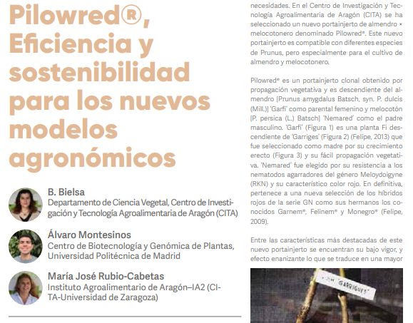 agropapers's tweet photo. Artículo técnico sobre el nuevo portainjertos Pilowred® en la revista #olint de @Agromillora_ en el que participan @beaforta y @mariajodem de @CITAAragon y @Al_Montesinos (@CBGP_Madrid) #citatransfiere @Aragoninvestiga #pilowred
🔗https://t.co/CrduqzdOdm https://t.co/P6KgITJUJJ