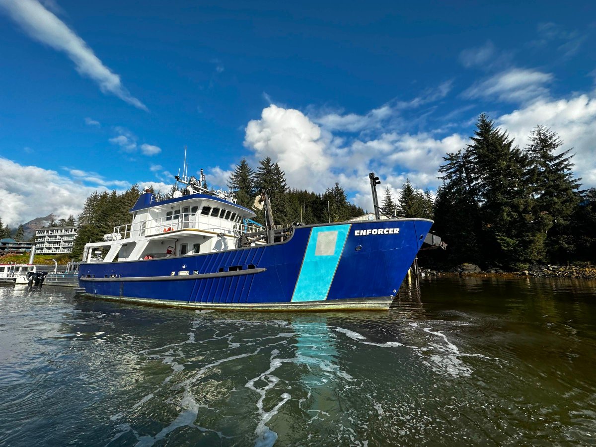 GovDeals's tweet photo. The State of Alaska is selling a 2004 custom-built Steel Patrol Vessel, The Enforcer, on GovDeals until December 2nd. 

📍 Located in Juneau, AK 

Read full details here: https://t.co/fW8865rCJJ https://t.co/oDaFGOJSap