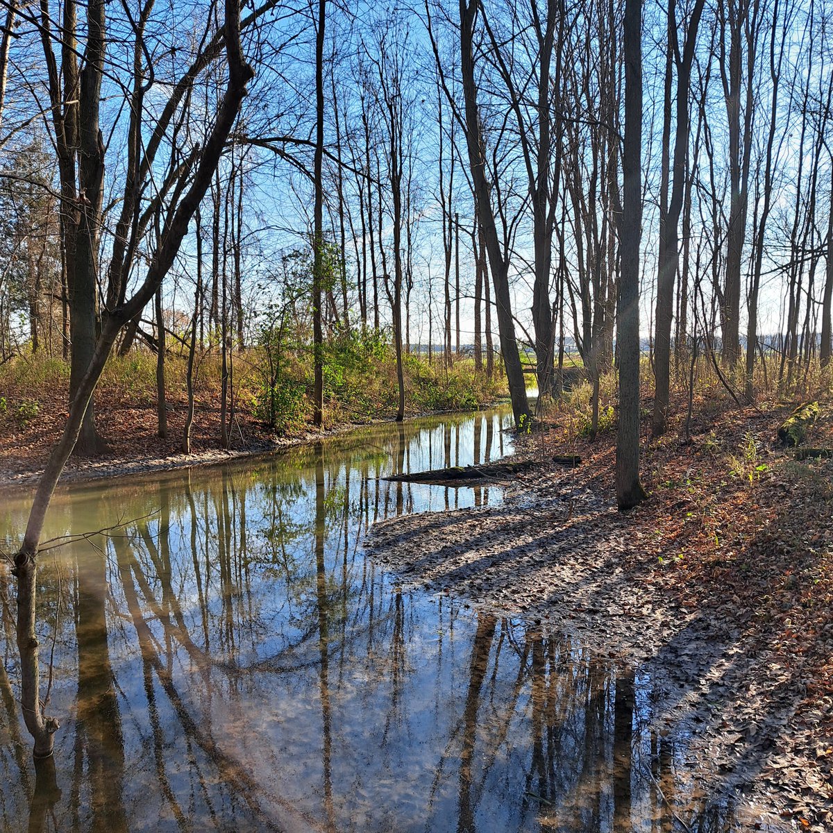 UteSchmid's tweet photo. @perryralph Thanks for inviting us to share #reflectionphotography. This was snapped a few days ago at #TinyMarshConservationArea near #ElmvaleON, Canada. #wetlandsmatter #conservationareasmatter #ResidentialTourist #Snowflakelady https://t.co/VBop3i869d