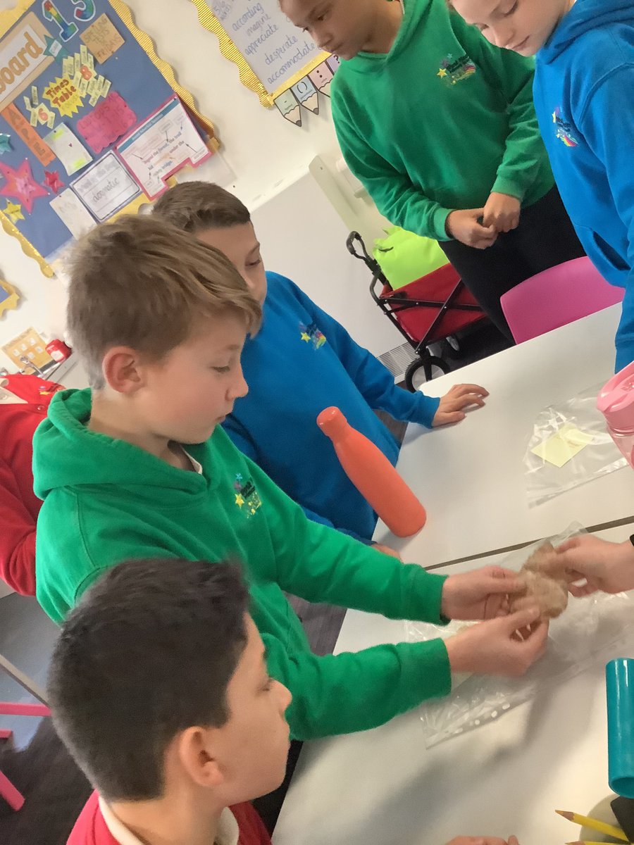 westheathprim's tweet photo. #WHPSClass13 had their own Stone Age museum this afternoon- the artefacts were fascinating! #WHPSHistory https://t.co/AV200FDqGe