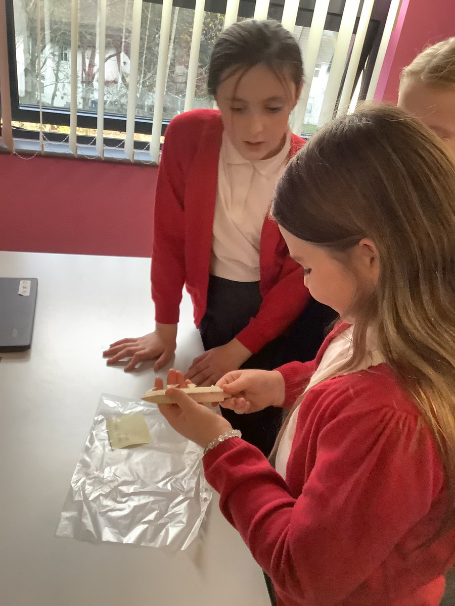 westheathprim's tweet photo. #WHPSClass13 had their own Stone Age museum this afternoon- the artefacts were fascinating! #WHPSHistory https://t.co/AV200FDqGe