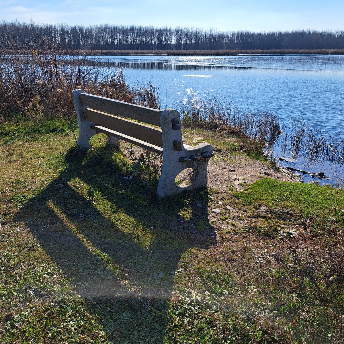 UteSchmid's tweet photo. @perryralph Thanks for inviting us to share #reflectionphotography. This was snapped a few days ago at #TinyMarshConservationArea near #ElmvaleON, Canada. #wetlandsmatter #conservationareasmatter #ResidentialTourist #Snowflakelady https://t.co/VBop3i869d