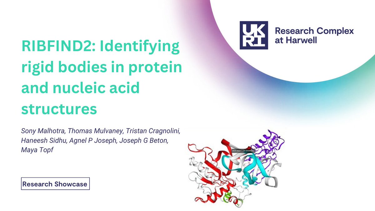 Discover a new tool for identifiying rigid bodies in RNA structures in our latest research showcase. Featuring the work of Dr Sony Malhotra and colleagues from <a href="/ccp_em/">CCP-EM</a>.

👉tinyurl.com/5h9jjwy5