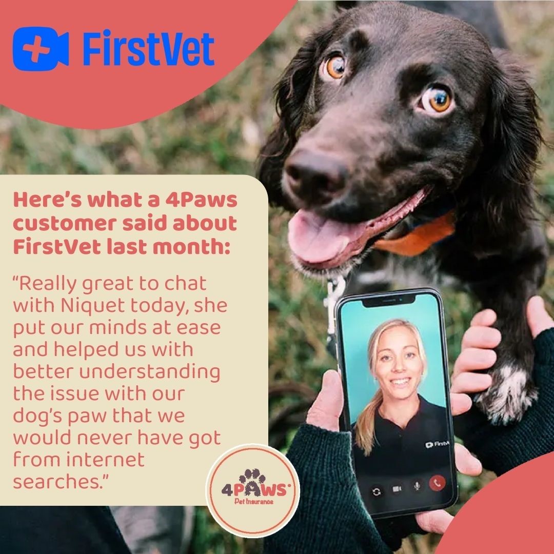 Here's what one of our #happycustomers said when they used #FirstVet last month! We offer 24/7 free and unlimited access to #vet video calls with FirstVet as standard with every #4Paws policy! #PetInsurance #4PawsPetInsurance