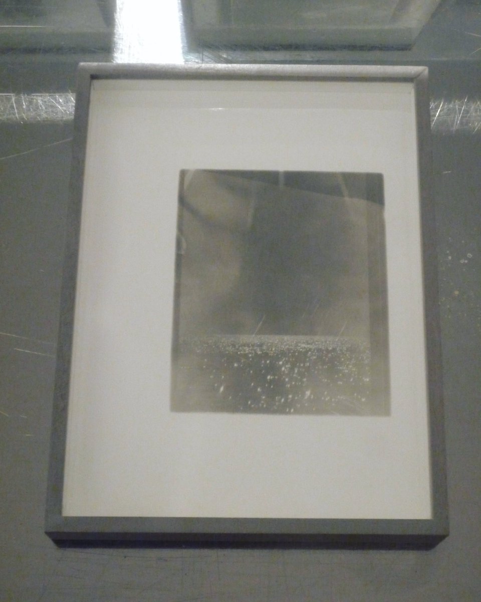 Harper Slone tweet media