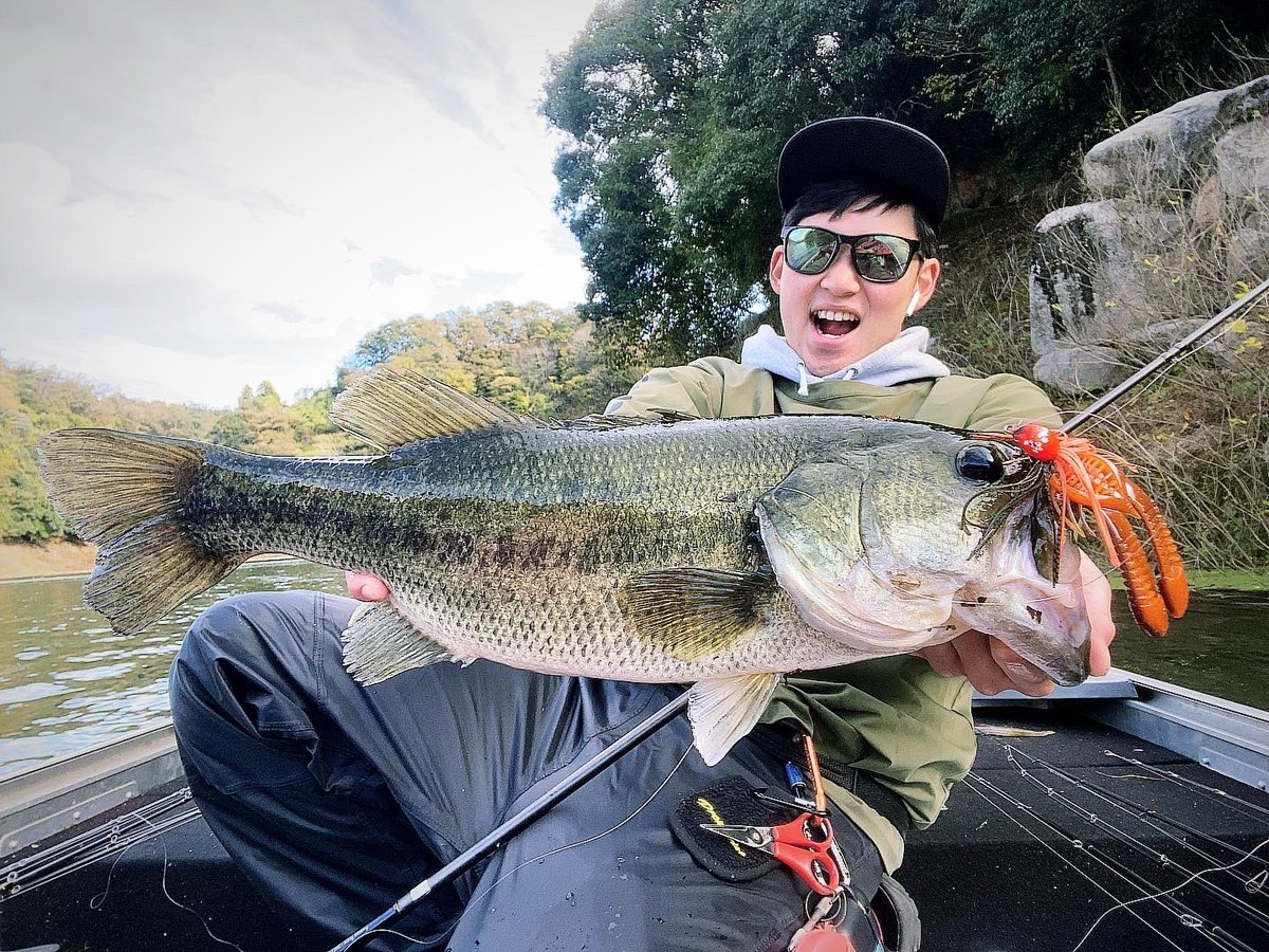mukoBASS's tweet photo. マスタージグ14gに
エグチャンク4inch‼️

この時期ベストマッチ���ッティング✨

高山ダムのローカル大会では、5本8kg越えのウエイト出せました🔥 https://t.co/j5Ut446Pwl