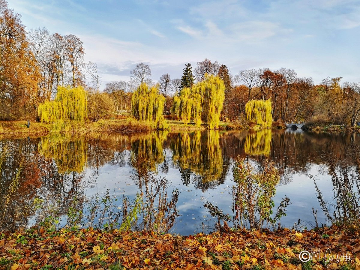 Ultimi passi d'autunno...
#atumn #autunno #jesień #nature #trees #leaf #autumnleaves #branches #leaves #water #pond #park #atmosphere #Poland #Polonia #Polska #Huawei #huaweiphotography