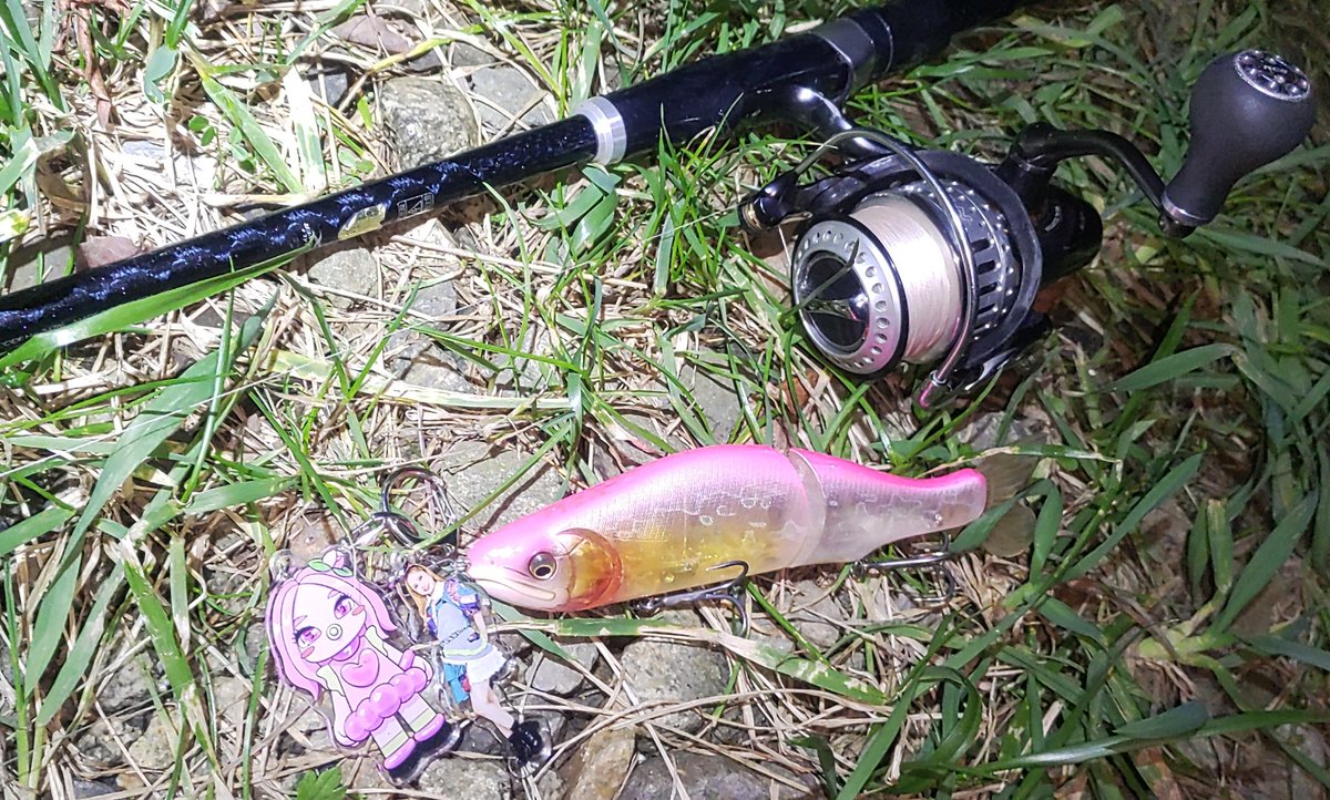 XxtaaaaaisukexX's tweet photo. 今夜はITOで行きます!
#itoENGINEERING
#iSLIDE
#megabass
#糸原沙也加 https://t.co/WS1X4ffaTg