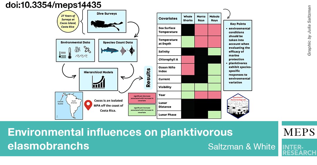 MEPS_IR's tweet photo. New paper examined the effects of primary productivity, temperature, lunar phase, and salinity on #WhaleSharks, #MantaRays, and #Mobulas rays within an isolated MPA in the eastern tropical Pacific
https://t.co/oIScsPT4Ok
@saltzyy https://t.co/RbFrs6msDW
