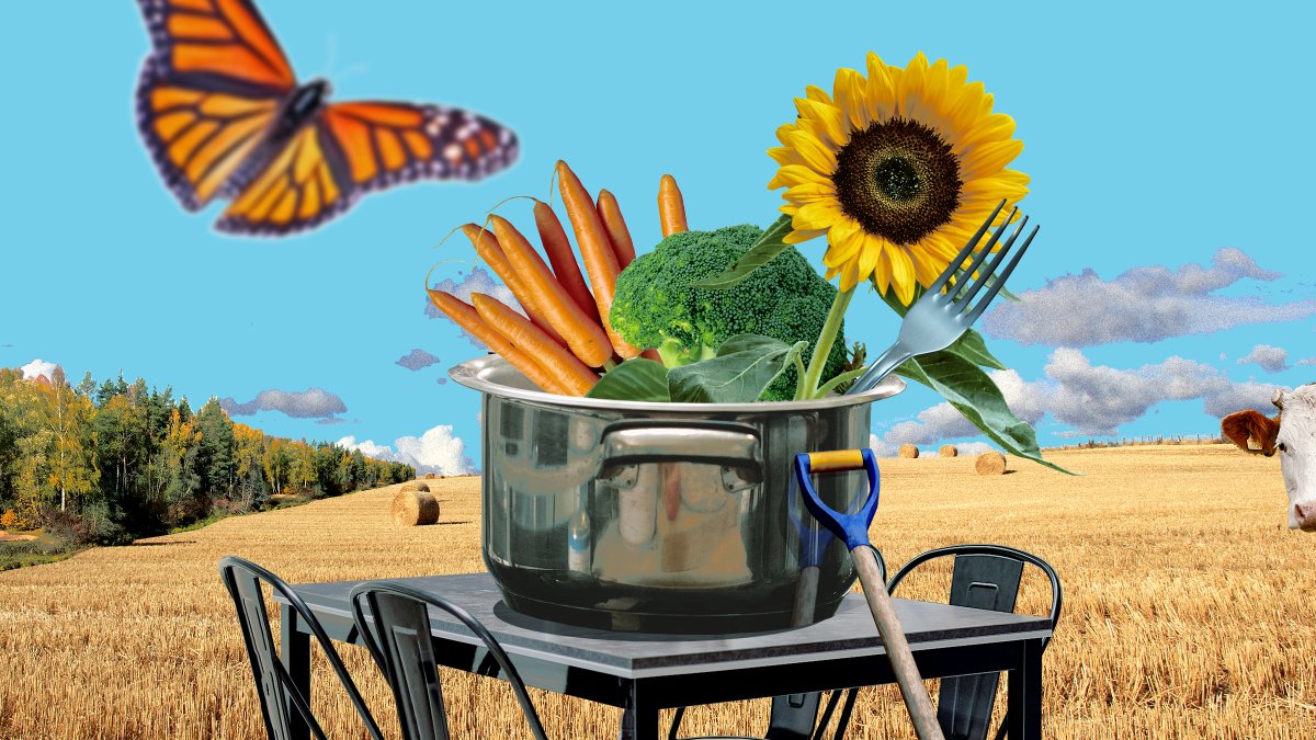 Kestävässä ruokajärjestelmässä otetaan huomioon maatalouden alueelliset vahvuudet. Tuotanto myös kannattaa taloudellisesti ja vahvistaa luontoa.

Mutta miten Suomeen rakennetaan kestävä #ruokajärjestelmä? Lue uunituoreet ehdotukset Sitran työpaperista! 👇

sitra.fi/julkaisut/mite…