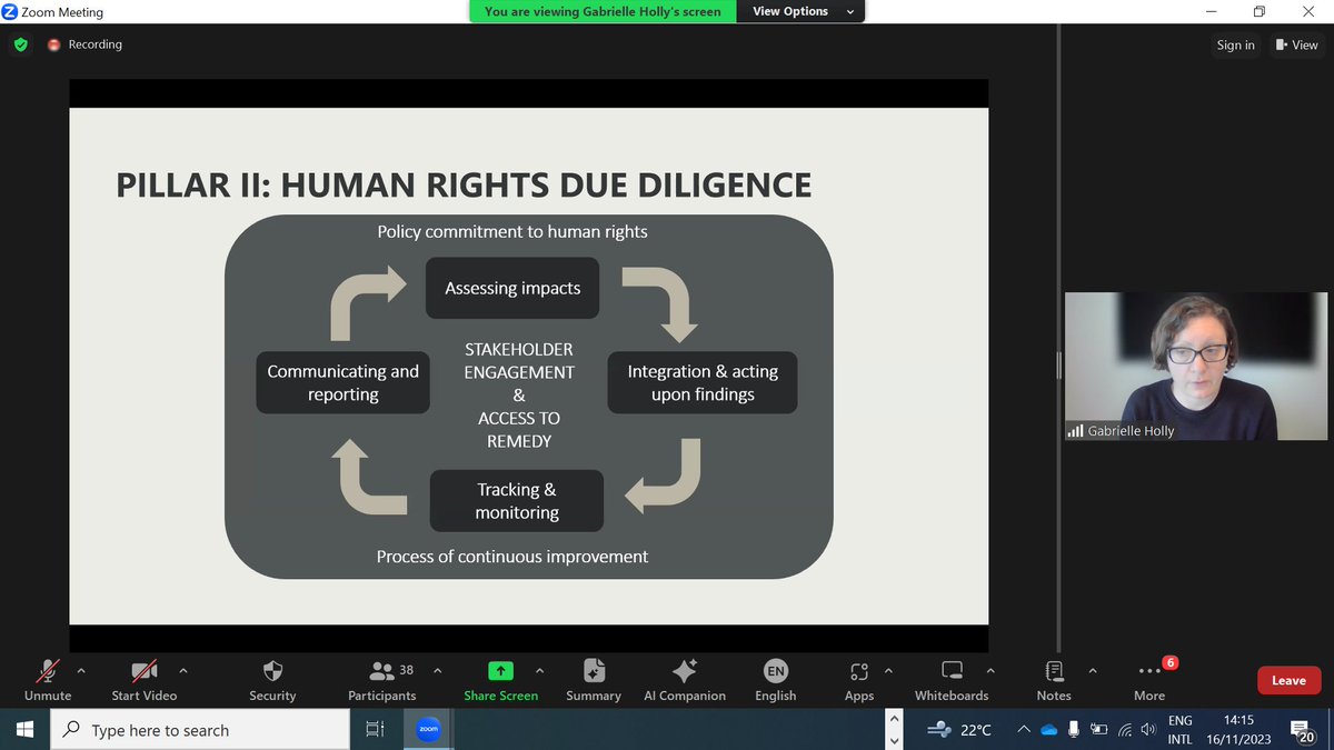 #BusinessandHumanRights #BHR #DueDilligence