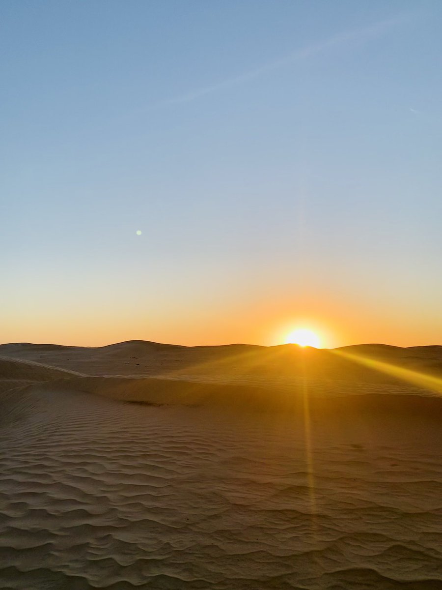 Kitty Thorp tweet media