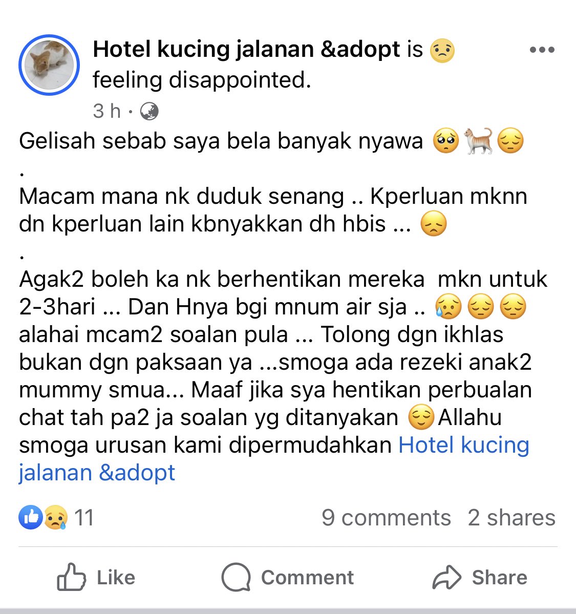 itsybitsymin's tweet photo. Someone dm-ed me and told me about this page hotel kucing jalanan &amp; adopt. 

Kesian tengok post akak tu merayu untuk bekalan makanan, i think its a really bad month for her. 😞

Kalau ada sesiapa berdekatan yg boleh hantar makanan kucing or donate details are in the pics. 🙏❤️ https://t.co/6crbbJBo40
