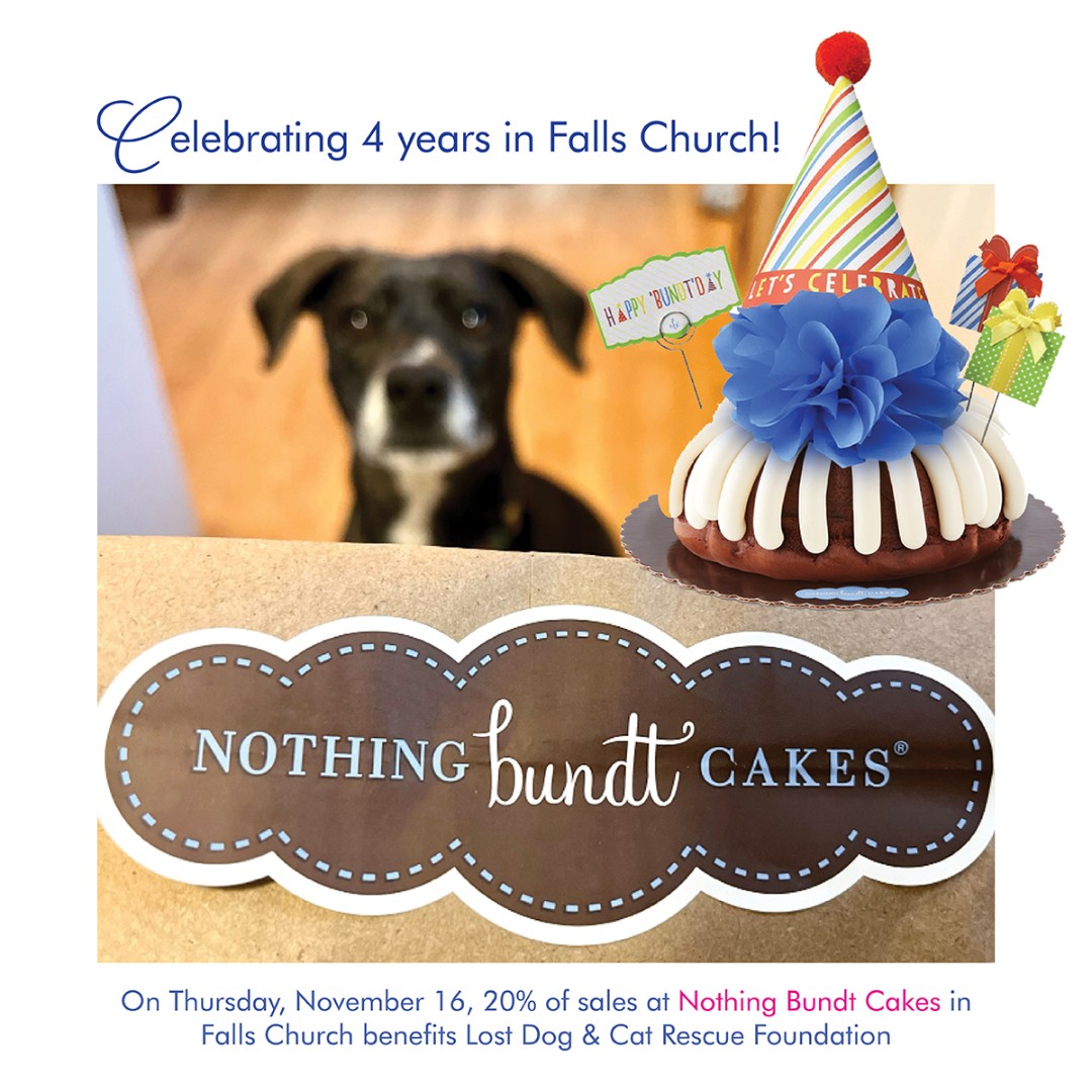 lostdogrescue's tweet photo. 🎉 Today's the Day! 🧁 Have your cake and help rescued dogs &amp; cats, too! Today—Thurs, Nov 16—our neighbor, Nothing Bundt Cakes celebrates their 4th birthday with a 20% donation of today’s sales to LDCRF. 🧁

🐕Stop by today for a treat after an RCC visit w/rescued dogs &amp; cats 🐈‍ https://t.co/LJUD5iPJaE