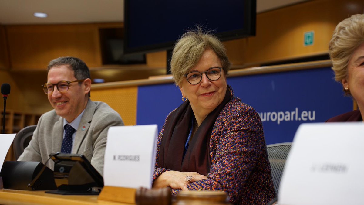 MEP @gabischoff points out how FEPS report on #EUtreaties changes bit.ly/EUTreatiesPS focuses on public goods & their connection w/ strong democratic institutions & participatory democracy➡️an important contribution to building a convincing narrative for citizens.