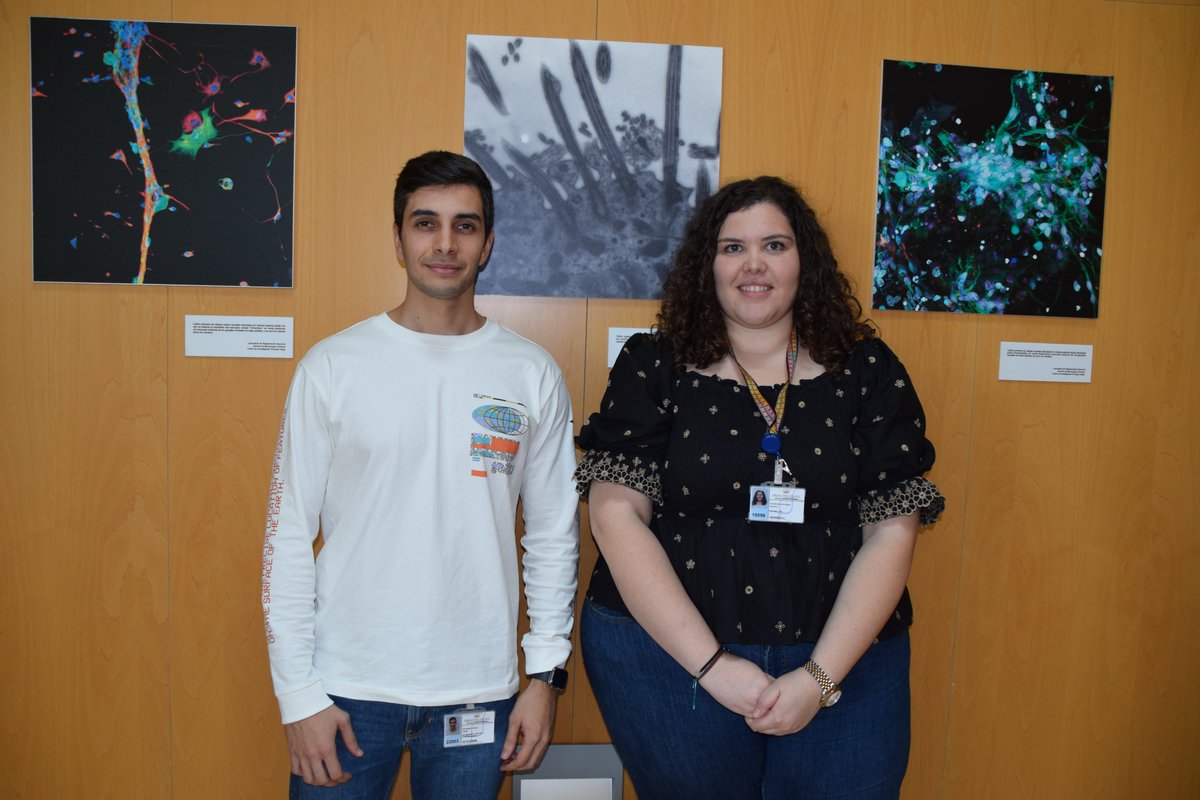 CIPFciencia's tweet photo. Great #CIPFSeminars today.
➡️Jaime Navarro Pérez presenting his work on obesity and metabolic and cardiovascular complications. 
➡️Blanca Escriche Navarro talk has been about New therapeutic strategies targeting senescent cells
#MoreResearch #BetterHealth https://t.co/B27yi7oqWy