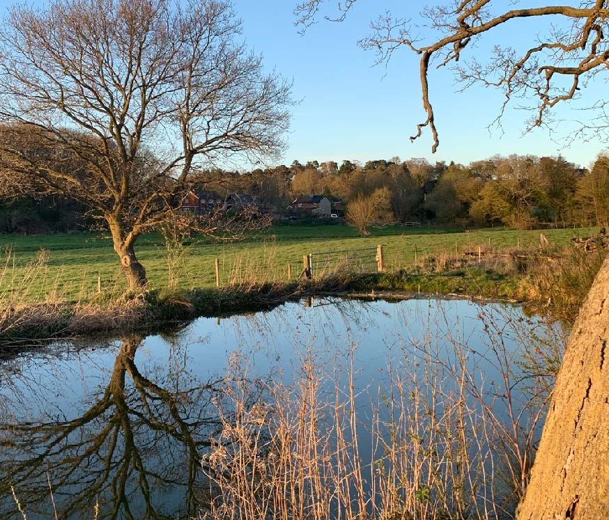 East Suffolk Council tweet media